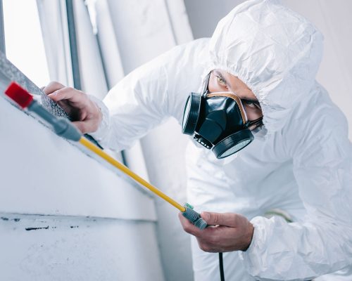 pest-control-worker-in-respirator-spraying-pestici-2021-08-29-22-51-53-5GL7KCT.jpg